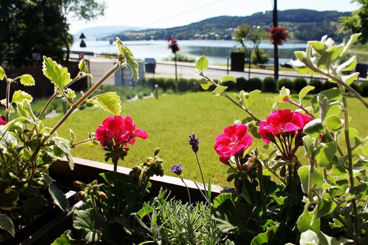 Koszarka Venue & Spa Grodek Nad Dunajcem Luaran gambar